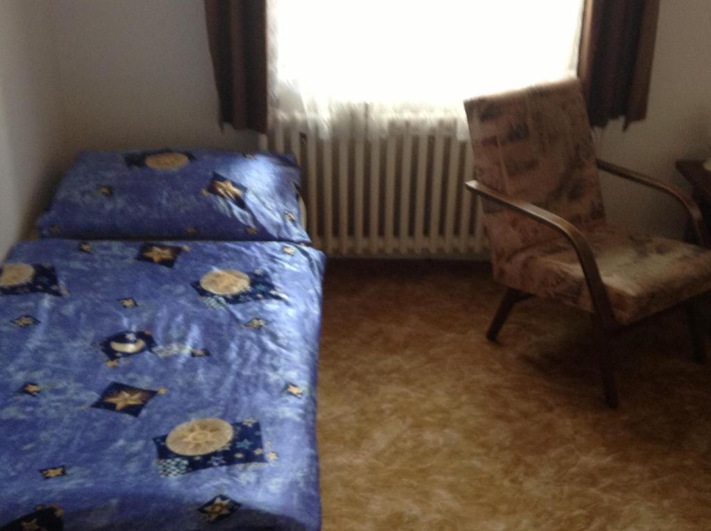 At Pension Ceske Budejovice Room photo